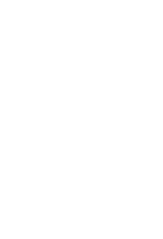 Nikki's Needles Logo